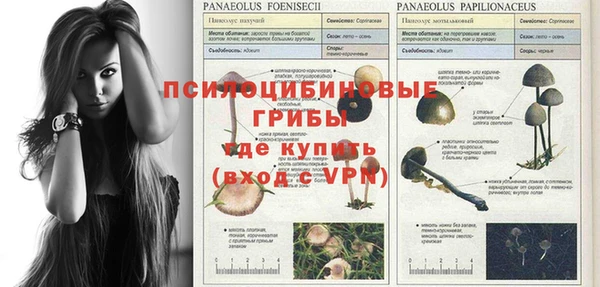 дурь Волосово