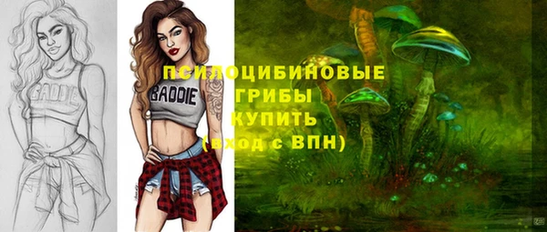 дурь Волосово