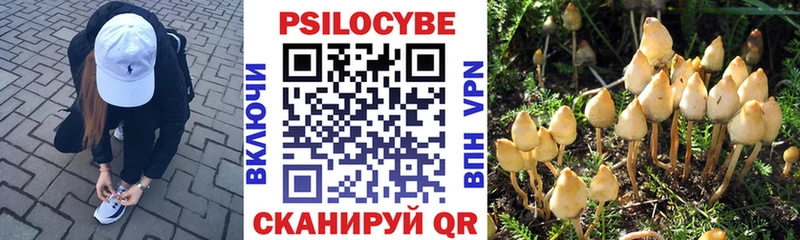 Псилоцибиновые грибы Psilocybine cubensis  где купить наркоту  Партизанск 